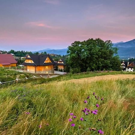 Willa Pitoniowka Z Sauna, Netflix Oraz Xbox One Koscielisko Bagian luar foto